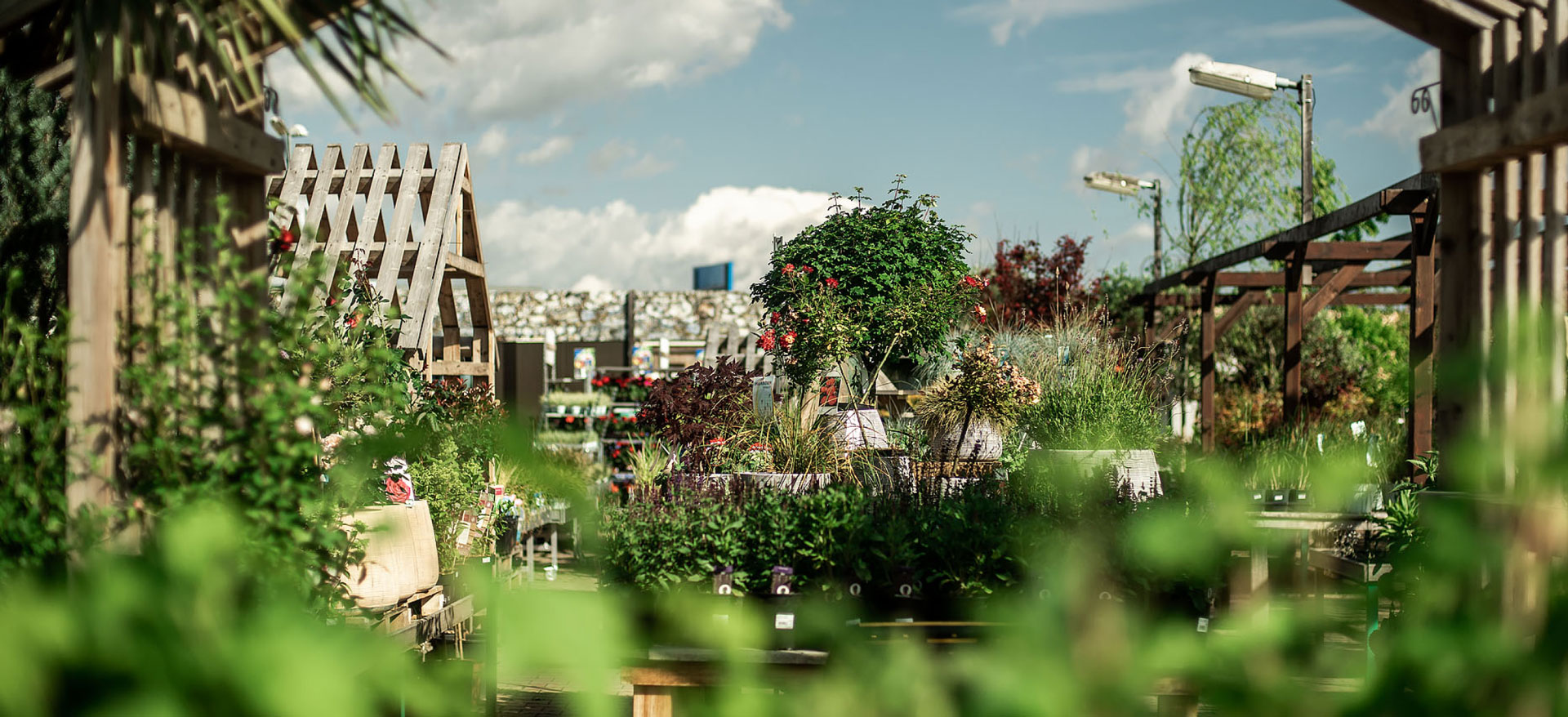 zahradnické centrum